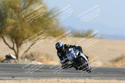 media/Jan-14-2024-SoCal Trackdays (Sun) [[2e55ec21a6]]/Turn 4 Tree of Life (155pm)/